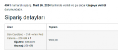 Ekran görüntüsü 2024-05-02 034033.png