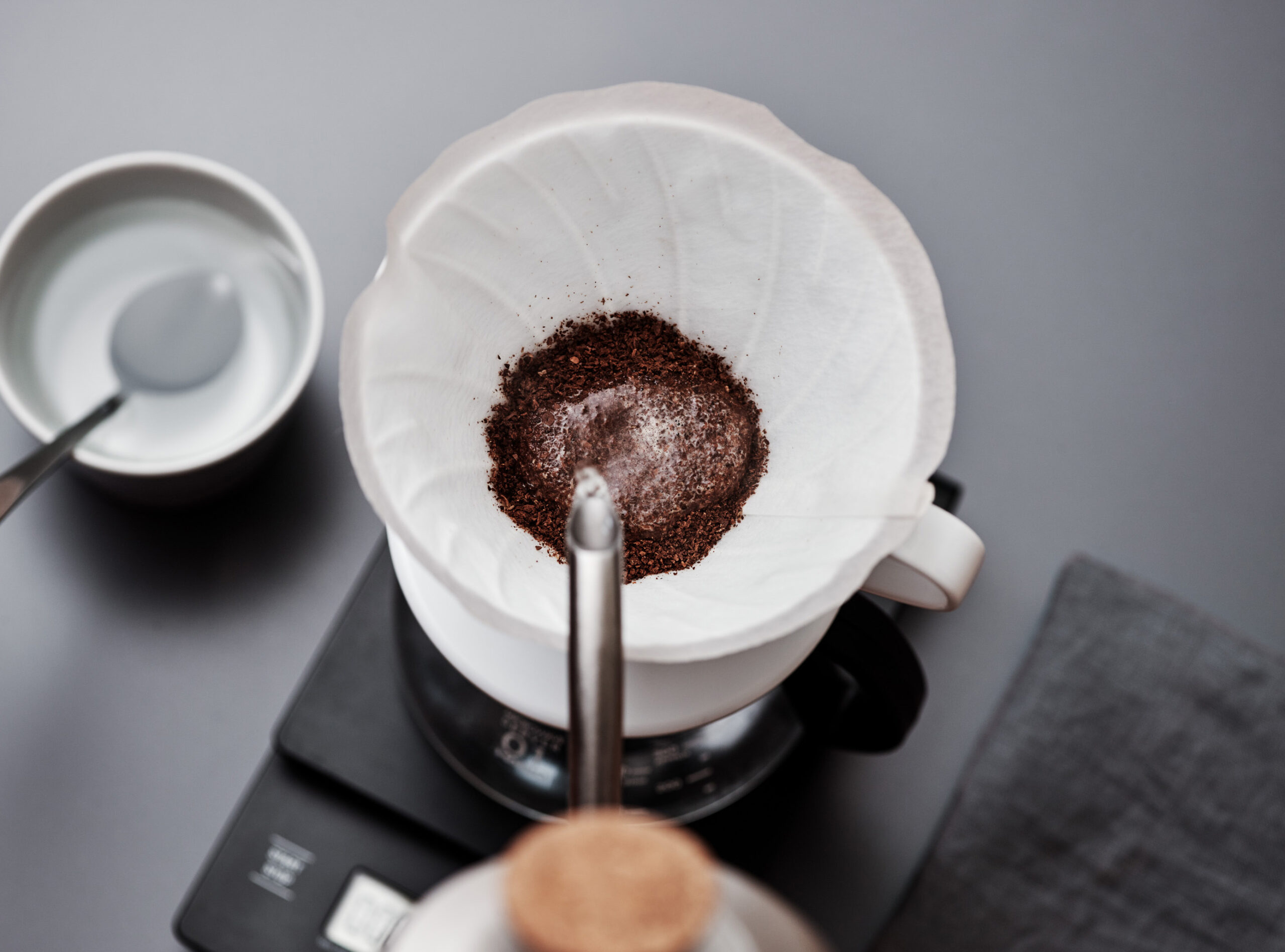 www.baristahustle.com